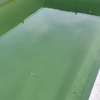 Limpieza puntual de piscina