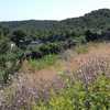 Desbrozar Jardín