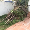 Otros Trabajos De Jardinería