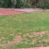 Otros Trabajos De Jardinería