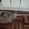 Lijar (Acuchillar) y Barnizar Parquet (Parcial)