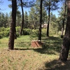 Desbrozar Jardín
