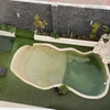Puesta en Funcionamiento Piscina
