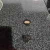 Reparar Carpintería Madera
