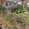 Desbrozar Jardín