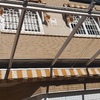 Pérgolas