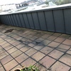 Limpieza Vivienda (1 vez)