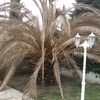 Otros Trabajos De Jardinería