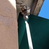 Reparar Toldo