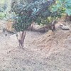 Proyecto nueva construcción