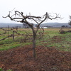 Realizar Pozo de Agua