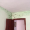 Reforma Vivienda