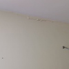 Pintar Interior De Vivienda