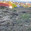 Desbrozar Jardín