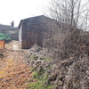 Talar árboles