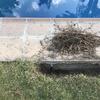 Construir Piscina Obra