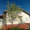 Rehabilitar Fachada Casa (Unifamiliar)