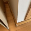Lijar (Acuchillar) y Barnizar Parquet (Completo)