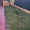 Diseñar Jardín