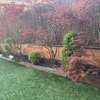 Diseñar Jardín