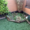 Diseñar Jardín