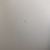 Otros Trabajos De Pintura