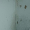 Impermeabilización Parcial Vivienda O Local
