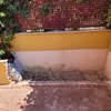 Otros Trabajos De Hormigón Impreso