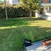 Plantar Cesped
