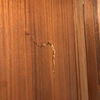 Reparar Carpintería Madera