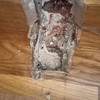Poner Parquet o Tarima Vivienda (Parcial)