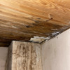 Reforma Integral Tejado Casa (Unifamiliar)
