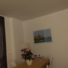 Hacer Trabajos Pladur en Vivienda