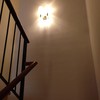 Quitar Papel o Empapelar