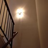 Quitar Papel o Empapelar