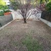 Mantener Jardín