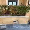 Otros Trabajos De Jardinería