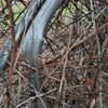 Instalar Cercados de malla o similar