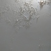 Pintar Interior De Vivienda