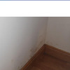 Arreglar Humedades