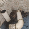 Deshollinar Chimenea