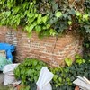 Reparar Muro