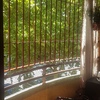 Cortinas Cristal