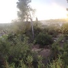 Desbrozar Jardín