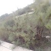 Desbrozar Jardín
