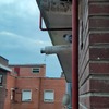 Fumigación o Desinsectación