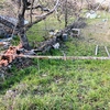 Construir Muro