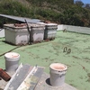 Construir Estructura De Casa