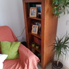 Lacar Muebles