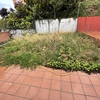 Desbrozar Jardín